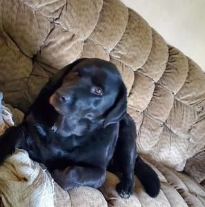 Meet your Posher, Mike